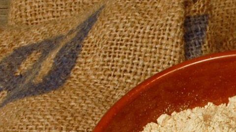 shutterstock_420478573