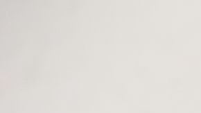 shutterstock_533753260