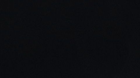 shutterstock_566326345