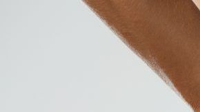 shutterstock_612404165