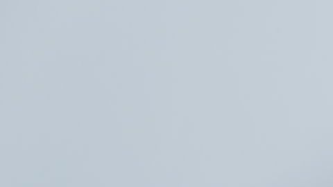 Una de las principales causas del hipotiroidismo se debe a una deficiencia de yodo, por lo que es indispensable obtenerlo a través de los alimentos.