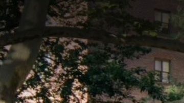 Soundview Houses, El Bronx