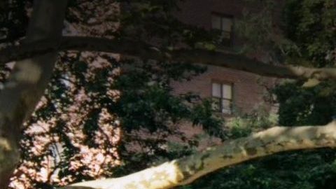 Soundview Houses, El Bronx