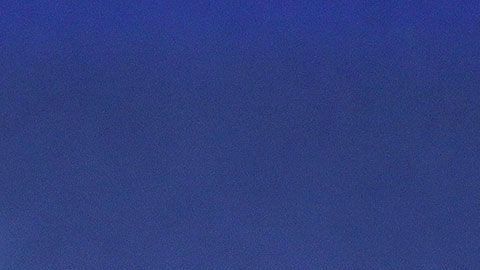 La subasta aún no termina, por lo que este artículo podría superar los $8,000 dólares.