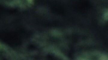 La mortalidad de personas en edad de trabajar aumentó.