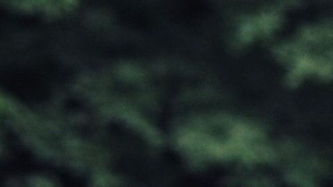 La mortalidad de personas en edad de trabajar aumentó.