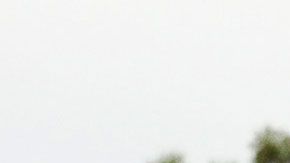 Este año, Taco Bell dará $2 millones de dólares más que el 2018.