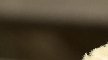 El hombre terminó siendo arrestado tras su fechoría.