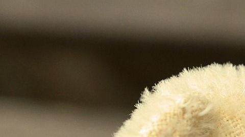 El hombre terminó siendo arrestado tras su fechoría.