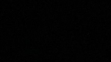 El proyecto de Luis Fernando Tena podría recibir la continuidad en las Chivas de Guadalajara.