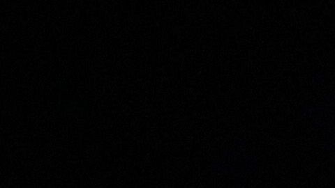 El proyecto de Luis Fernando Tena podría recibir la continuidad en las Chivas de Guadalajara.