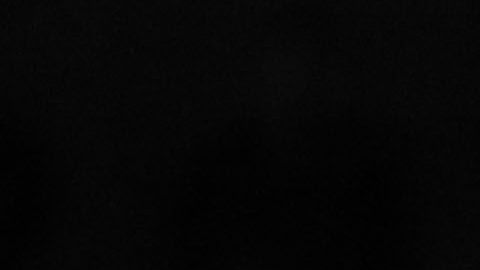 Los Tiburones Rojos de Veracruz siguen con la desastrosa racha.