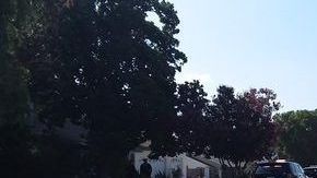 El hombre que disparó fue acusado de intento de asesinato premeditado.