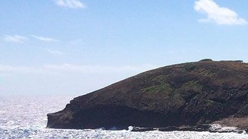 Para aplicar debes rellenar esta solicitud y explicar en 200 palabras o menos por qué eres el mejor candidato ideal.