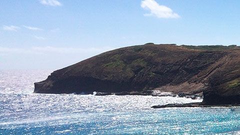 Para aplicar debes rellenar esta solicitud y explicar en 200 palabras o menos por qué eres el mejor candidato ideal.