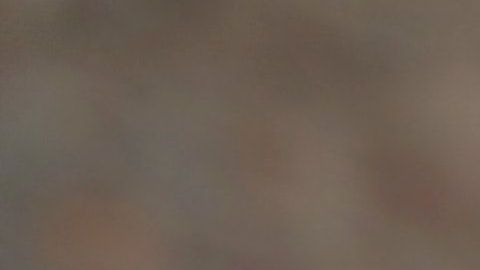 Estos trabajos no requieren que pases años estudiando en la escuela.