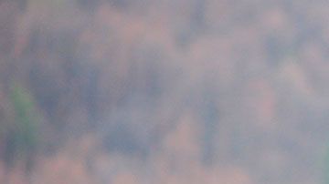 Estos empleos te pueden ayudar a tener un ingreso extra con una inversión muy pequeña.