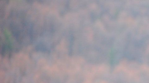 Estos empleos te pueden ayudar a tener un ingreso extra con una inversión muy pequeña.