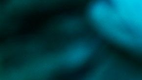 El hombre no sabía hablar mucho inglés, así que nunca supo lo que los doctores iban a hacerle.