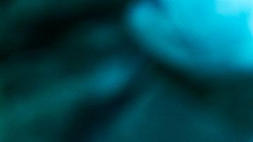 El hombre no sabía hablar mucho inglés, así que nunca supo lo que los doctores iban a hacerle.