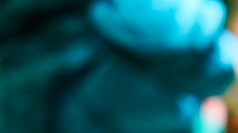 El hombre no sabía hablar mucho inglés, así que nunca supo lo que los doctores iban a hacerle.