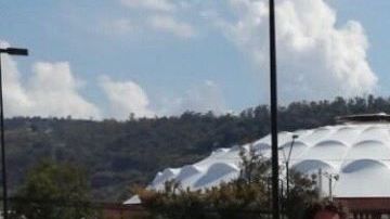 Una historia increíble la de los Tiburones Sub 20.