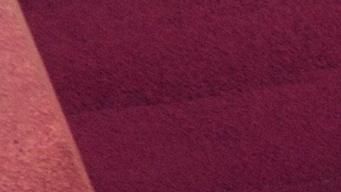 El hecho dejó una huella permanente en la joven.