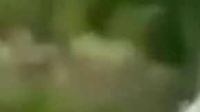 Los Viagras sitian población en Michoacán.