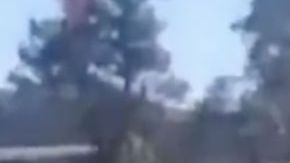 VIDEO: Así es la flotilla aérea del Mayo Zambada con las que el Cártel de Sinaloa transporta droga