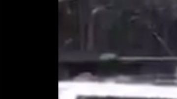 VIDEO: Sicarios del Mayo Zambada y los Chapitos muestran su poderío