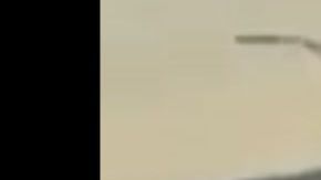 VIDEO: 5 de la Tropa del Infierno del Cártel del Noreste ataca a militares pero su final fue la morgue