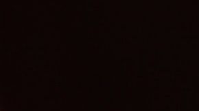 Crédito: Rodolfo Clix. / Pexels.