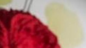 Yanet García, la chica del clima, del programa "Hoy"