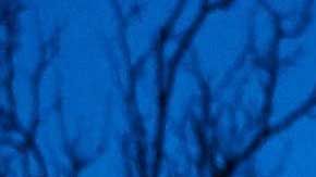 La estatua de Zlatan fue vandalizada por el descontento de los hinchas.