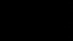 El presidente Trump califica el proceso en su contra como una "cacería de brujas".