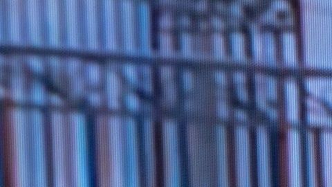 Solo uno de los expertos alega que no está claro que Trump incurriera en los delitos.