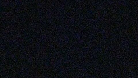 Muchos afroestadounidenses creen que el discurso de Trump ha hecho florecer los postulados racistas.