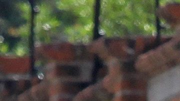 Los restos de al menos 50 personas fueron hallados en Tlajomulco de Zúñiga.