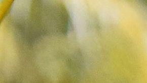 Familiares de los presos esperan noticias frente a la cárcel de Tela, Honduras.