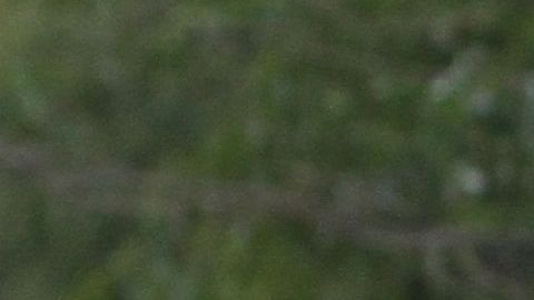 Escuela en Alto Manhattan.