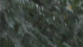 Algo no está funcionando en el sistema escolar de NYC