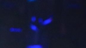 Alejandro Fernández