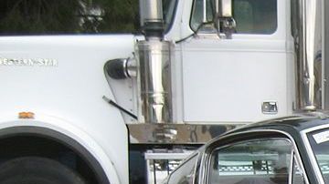 1024px-1966_Shelby_GT350_(2)