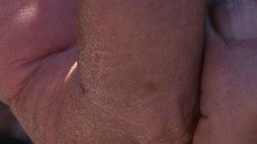 "Los Fernández" pasaron de rivales a socios y lograron unificar al peronismo.