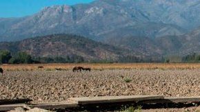 109146624_a8e66932-b44c-4111-83a9-327434a972b0