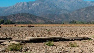 109146624_a8e66932-b44c-4111-83a9-327434a972b0