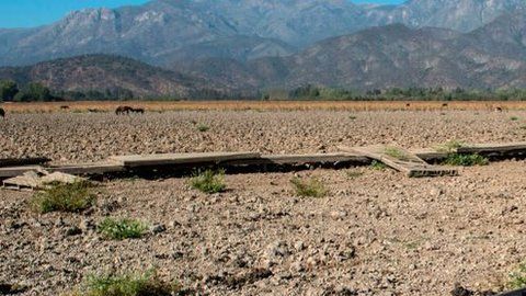 109146624_a8e66932-b44c-4111-83a9-327434a972b0