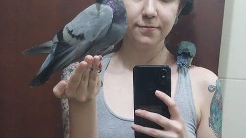 "Fui maldecida, llamada cerda. Me dio miedo esta reacción'', dice Anna Carolina, sobre los comentarios a su publicación sobre la paloma rescatada.