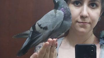 "Fui maldecida, llamada cerda. Me dio miedo esta reacción'', dice Anna Carolina, sobre los comentarios a su publicación sobre la paloma rescatada.