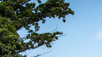 Bougainville es un paraíso de palmeras y agua cristalina.